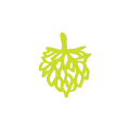 illustration of a beer hop