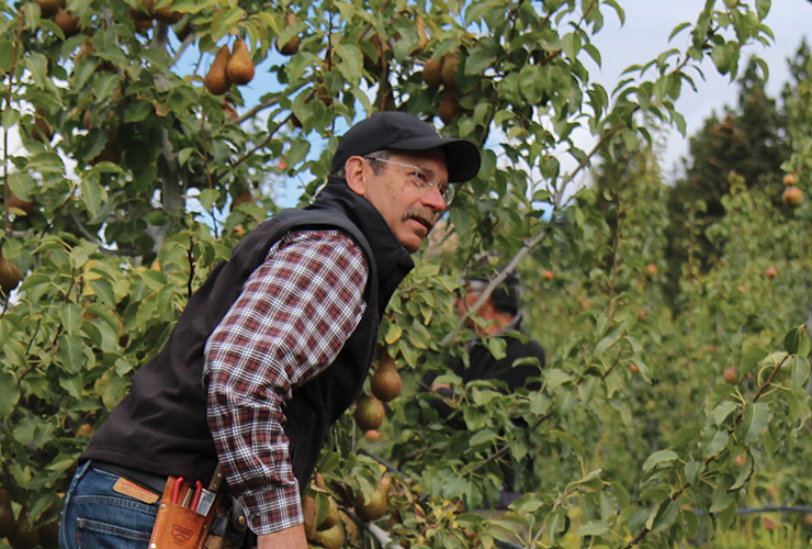 Cinagro farmer Jeff wearing a plaid shirt and vest, with apple trees in an orchard.